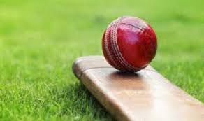 अमेरिकासँग नेपाल चार विकेटले&nbsp;पराजित